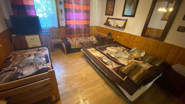 Holiday Home V Kolte Kolta Εξωτερικό φωτογραφία