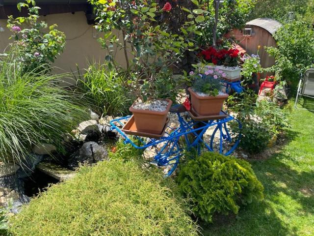Holiday Home V Kolte Kolta Εξωτερικό φωτογραφία